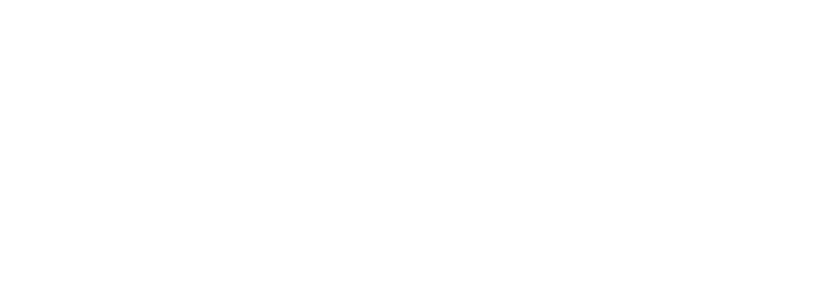 Fanpass Logo